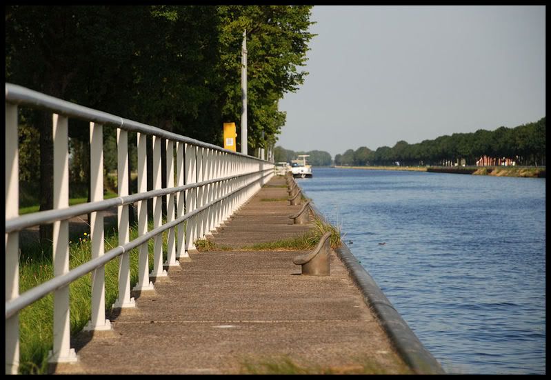 Fotografie
