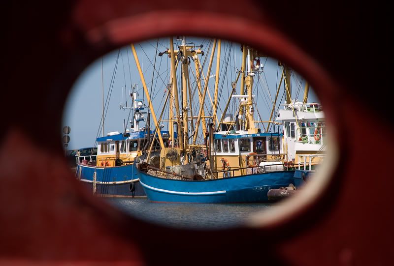Fotografie