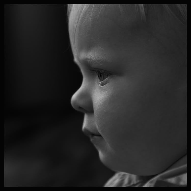 Fotografie