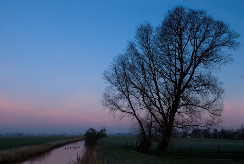 Fotografie
