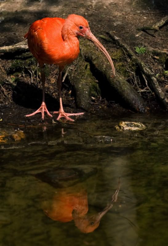 Fotografie