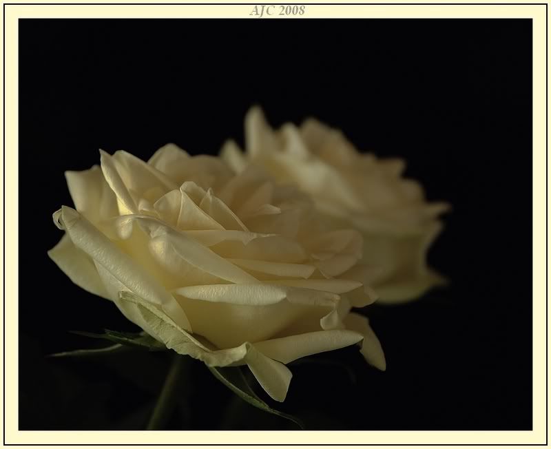 Fotografie
