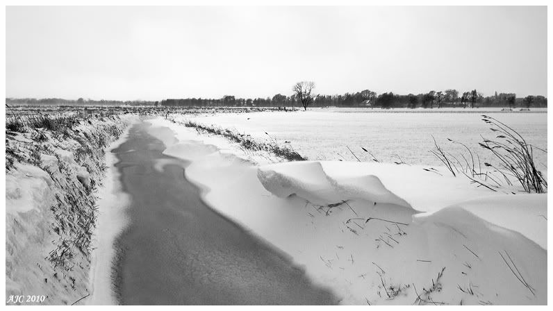 Fotografie