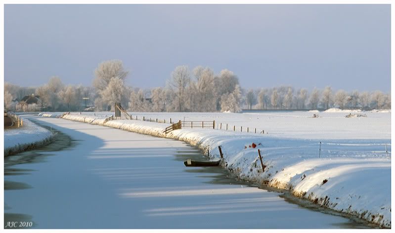 Fotografie