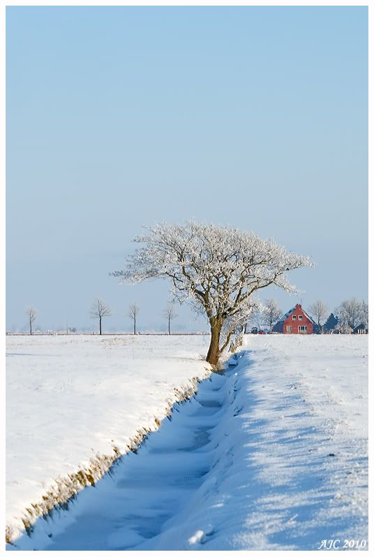 Fotografie