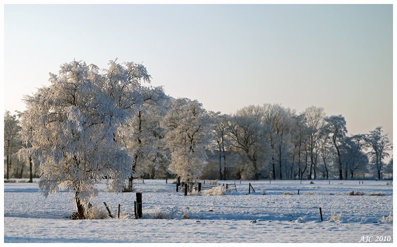 Fotografie