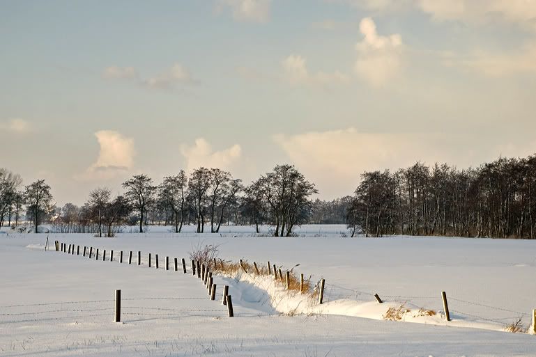 Fotografie