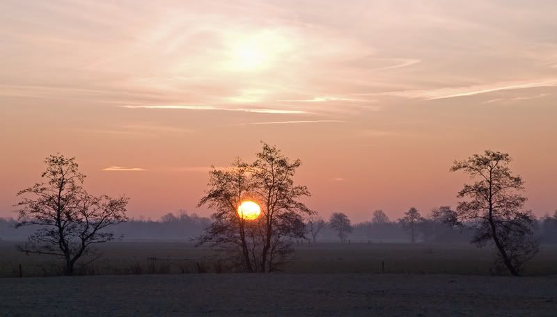 Fotografie