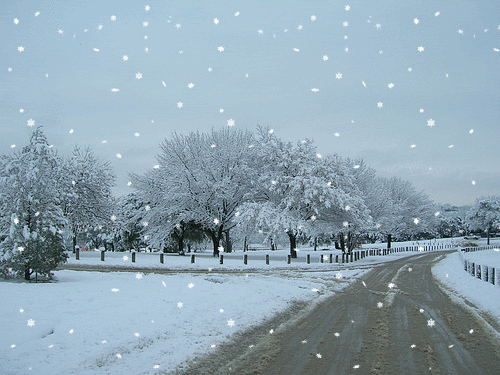 snowy,road
