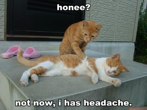 honee-not-now-i-has-headache.jpg