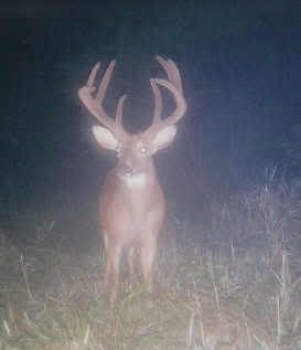 8pt.jpg