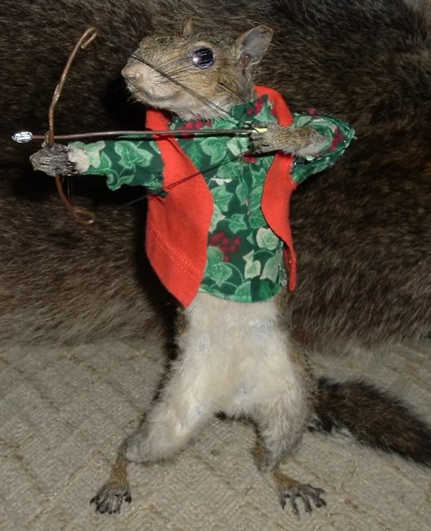 funny squirrel pics - TexasBowhunter.com Community Discussion Forums