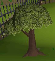 cant't show img