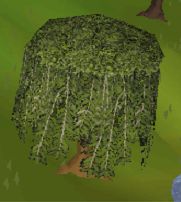 cant't show img