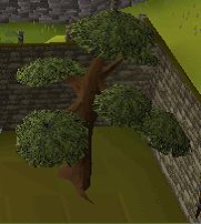 cant't show img