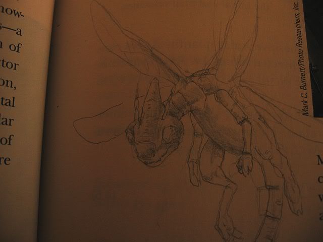 flygon.jpg