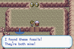 Pokemon-FireRed_24.png