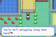 Pokemon-FireRed_37.png