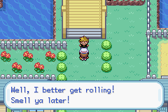 Pokemon-FireRed_43.png