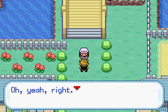 Pokemon-FireRed_44.png