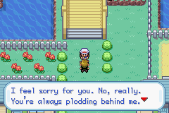 Pokemon-FireRed_45.png
