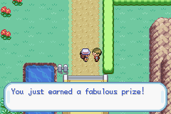 Pokemon-FireRed_63.png