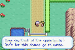 Pokemon-FireRed_75.png