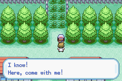 Pokemon-FireRed_05-1.png
