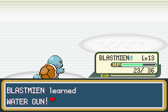 Pokemon-FireRed_08-1.png