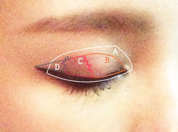 eyelid map