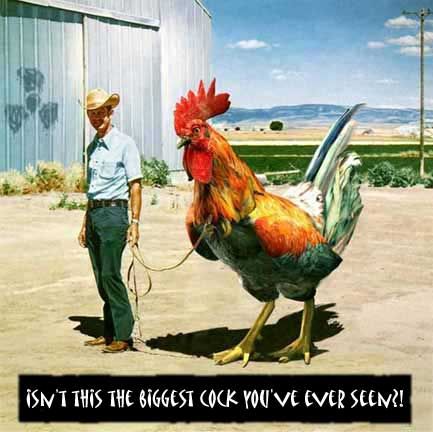 re: The funniest thing you can think of