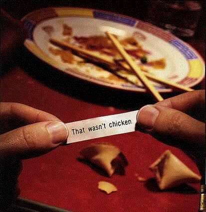 re: Fortune Cookies...
