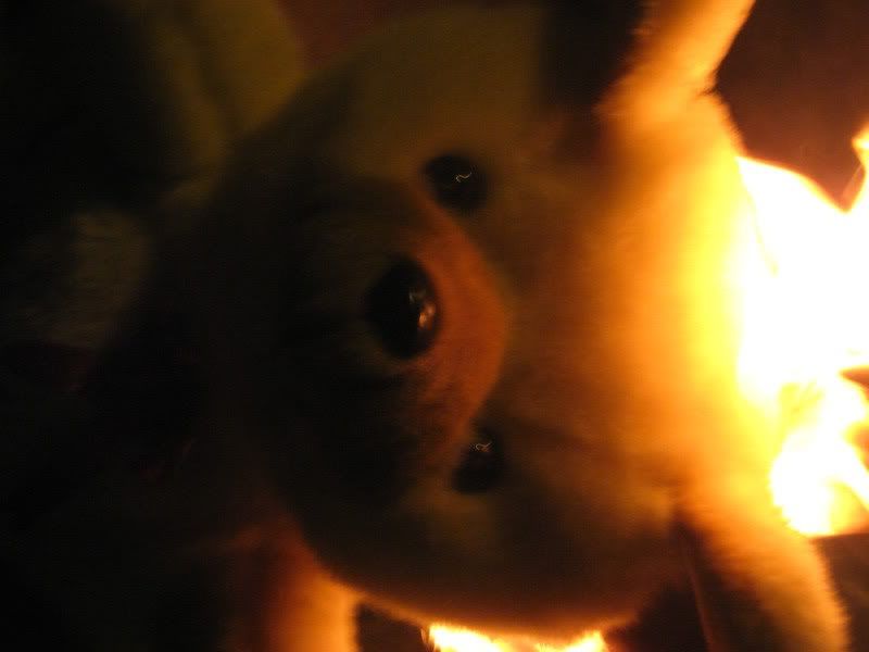 Photo Sharing and Video Hosting at Photobucket