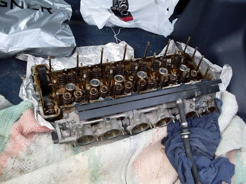 SDC10043.jpg