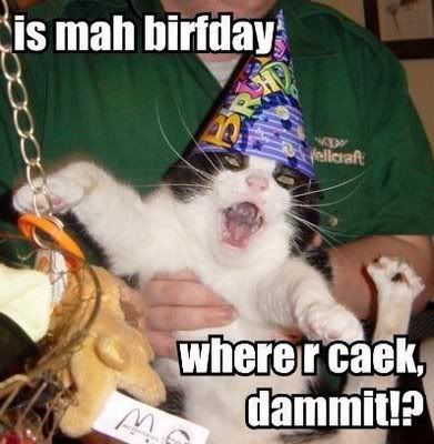 Lolcat+birthday+cake