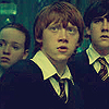 Harry Potter Icons