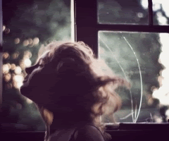 Photography Graphics