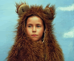 Photography Graphics