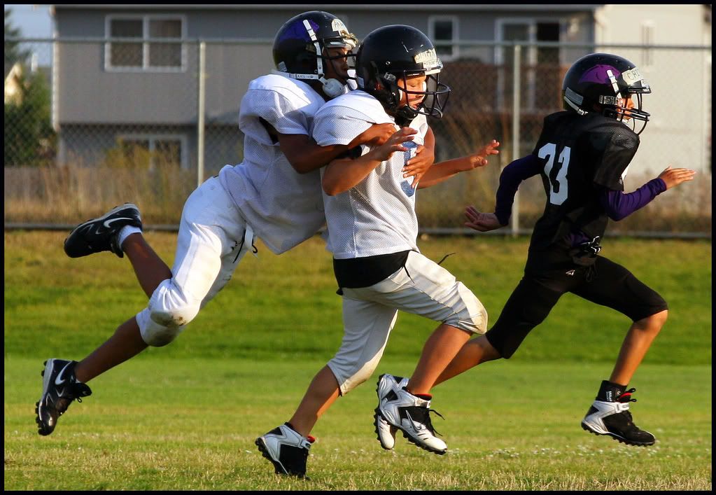 IMAGE: http://img.photobucket.com/albums/v40/rbalt10129/panther2a.jpg