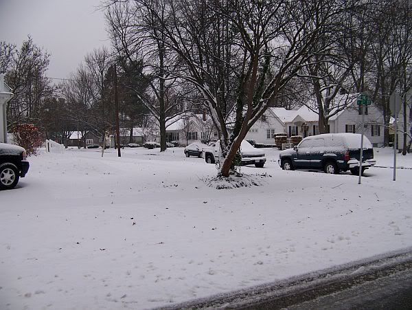 snowdec073.jpg