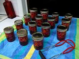 13 half pint and 2 pint canning jars of cherries in syrup cooling on a beach towel on the counter.