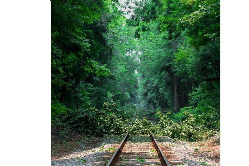 IMAGE: http://img.photobucket.com/albums/v401/PGs_fynest/CanonRebel%20T3/IMG_1813edit1.jpg