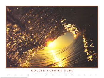 GoldenSunriseCurl.jpg