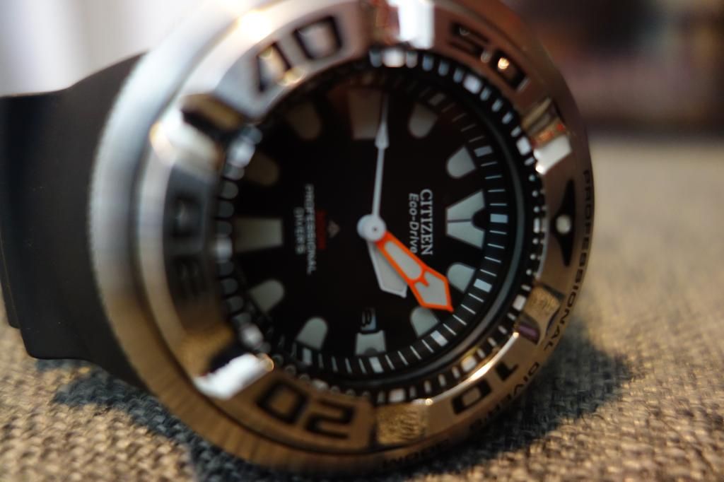DSC00388_zps4jqssh8w.jpg
