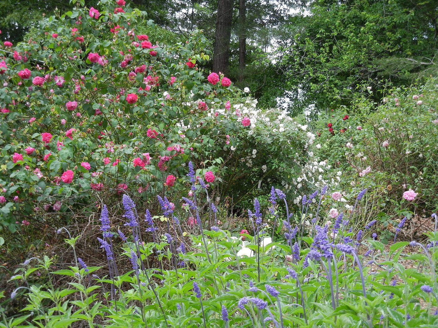 Maggie left, Mary Washington middle, Jean Bach Sisley right