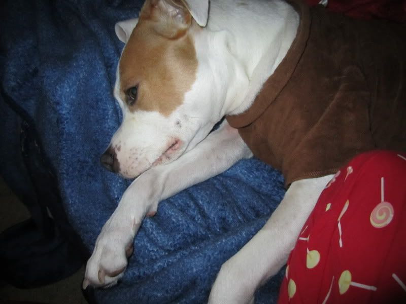 stye on eyelid. Tiny Lump On Eyelid