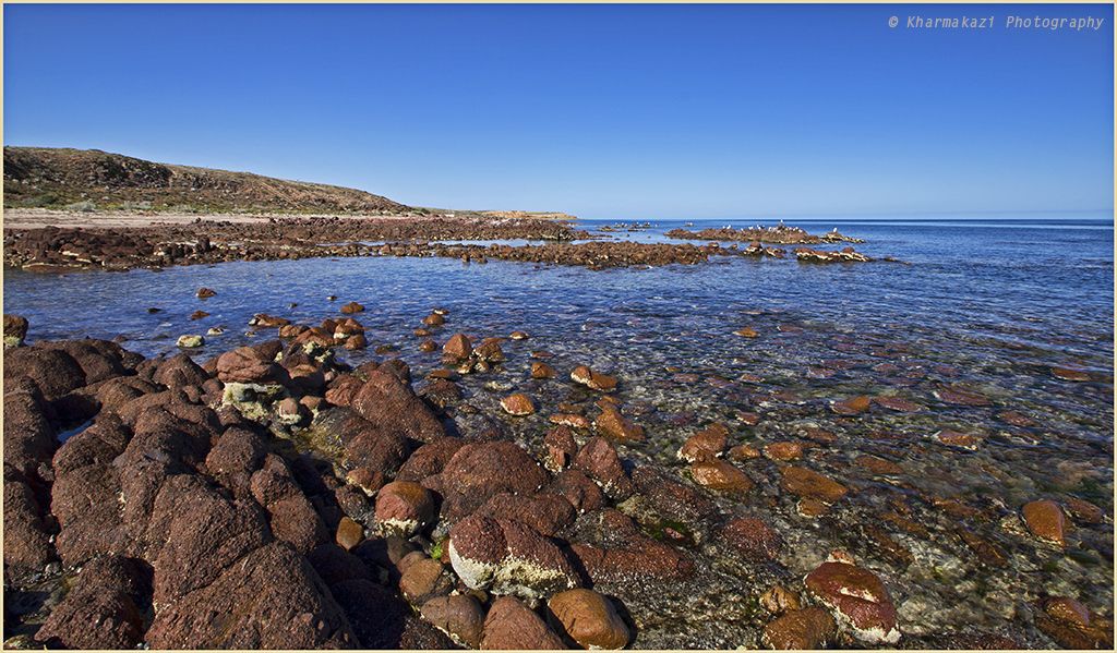 Point Riley Walleroo S.A.