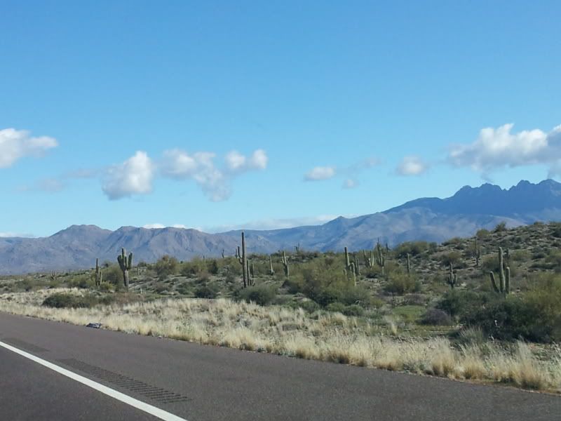 [Image: 20120124_113938.jpg]