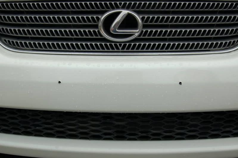 [Image: DSC_0816.jpg]