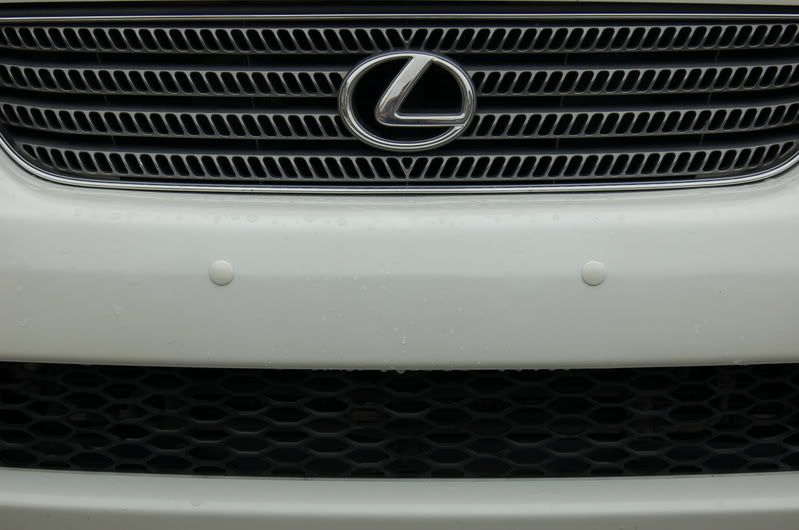 [Image: DSC_0819.jpg]